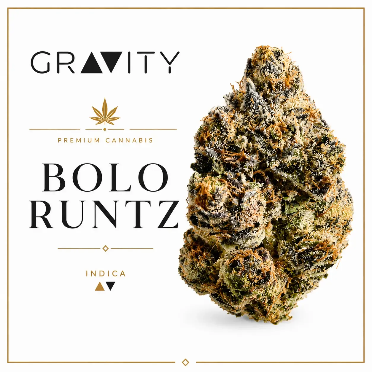 Bolo Runtz