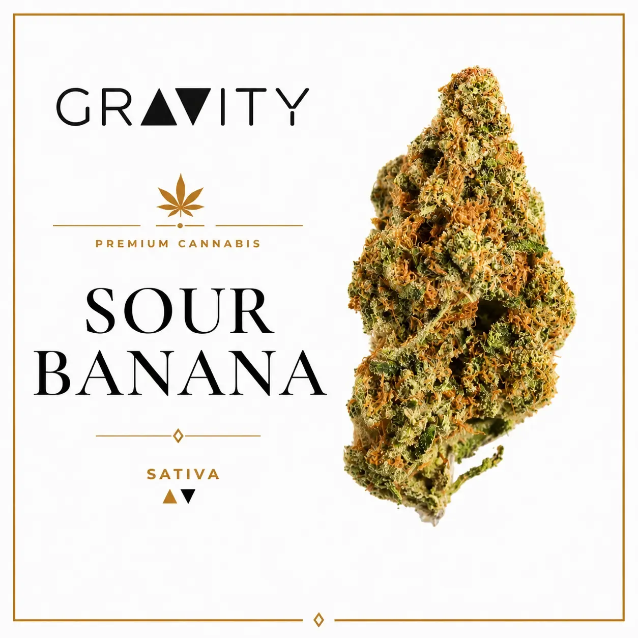 Sour Banana